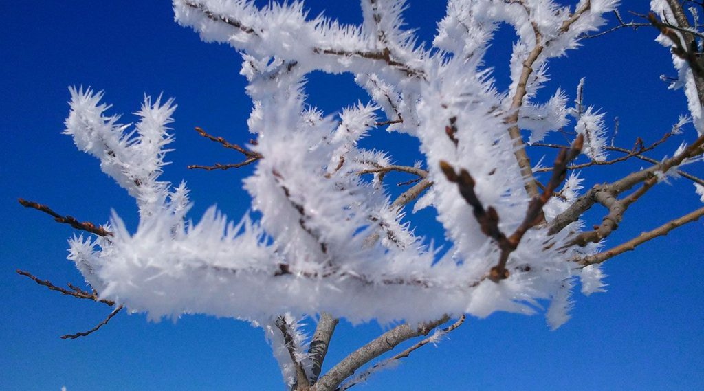 hiver